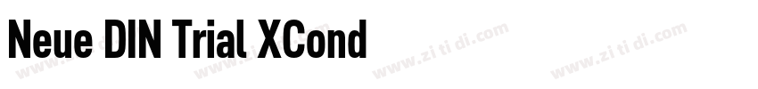Neue DIN Trial XCond字体转换